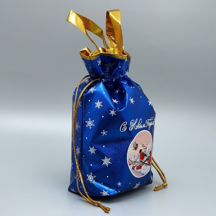 Пакет-мешок из нетканного материала &laquo;Поверь в сказку&raquo;, 25 х 32 см, Новый год