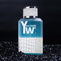 Туалетная вода Your Leader Way "Invincible" мужская, 100 мл Туалетная вода Your Leader Way "Invincible" мужская, 100 мл