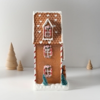 Сувенир полистоун свет "Пряничный домик в глазури с пряничкой, ёлками" 17х12х25,5 см Сувенир полистоун свет "Пряничный домик в глазури с пряничкой, ёлками" 17х12х25,5 см