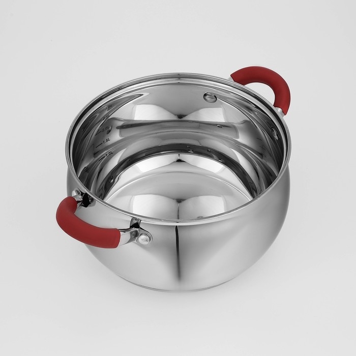 Кастрюля из нержавеющей стали Доляна &laquo;Вернер&raquo;, 3,5 л, d=20 см, с крышкой, индукция