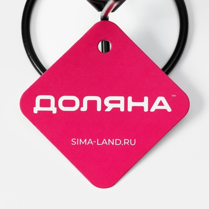 Корзинка для картофеля фри Доляна &laquo;Лукси&raquo;, 10&times;10&times;14,5 см