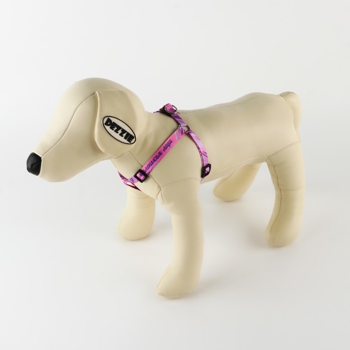 Комплект &laquo;Маленькая леди&raquo;, шлейка 24-36 см, поводок 120х1 см