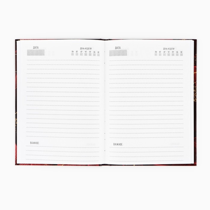 Подарочный набор &laquo;Учителю: Золотой учитель&raquo;: ежедневник А5, 80 листов и 2 ручки шариковые, 1 мм