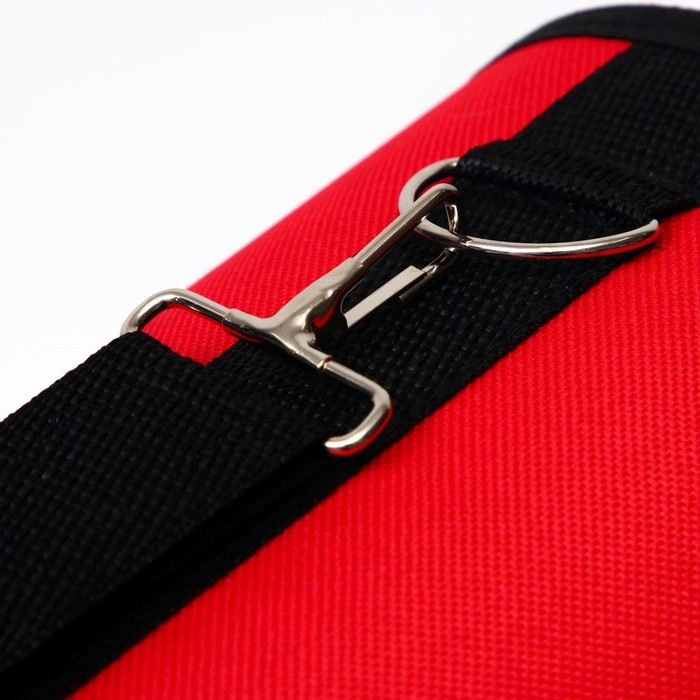 Сумка - переноска для животных Сумка - переноска для животных "Весёлый жук", красная, размер L, 53 х 21 х 29 см