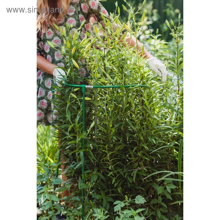 Кустодержатель, d = 50 см, h = 100 см, ножка d = 1 см, металл, зелёный, троеножка Кустодержатель, d = 50 см, h = 100 см, ножка d = 1 см, металл, зелёный, троеножка