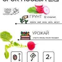 Семена Редис "Розово-красный с белым кончиком", 2 г