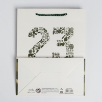 Пакет подарочный ламинированный вертикальный, упаковка, &laquo;23 февраля&raquo;, MS 18 х 23 х 10 см