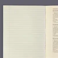 Тетрадь предметная 48 листов в клетку Calligrata, &laquo;Чёрное-белое. Русский язык&raquo;, обложка мелованная бумага, серые листы