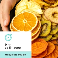 Сушилка для овощей и фруктов, дегидратор T-PFD42149