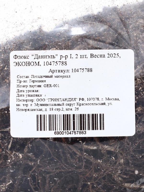 Флокс "Даниэль" р-р I, 2 шт, Весна 2025, ЭКОНОМ,