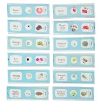 ЭВРИКИ Набор для опытов "Набор микропрепаратов", овощи и зелень