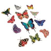 Набор магнитов на холодильник &laquo;Натуральные&raquo;, 12 шт., картон, h=4-10 см