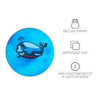 Мяч детский, d=25 см, 60 г, цвет МИКС