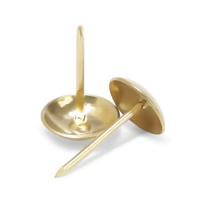 Гвозди ТУНДРА, декоративные, обивочные, 10&times;18.5 мм, золото, 100 шт.