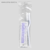 Набор из 5 Travel (Бритвенный набор, Зубной набор, Шампунь саше, Мыло, Расческа) Набор из 5 Travel (Бритвенный набор, Зубной набор, Шампунь саше, Мыло, Расческа)