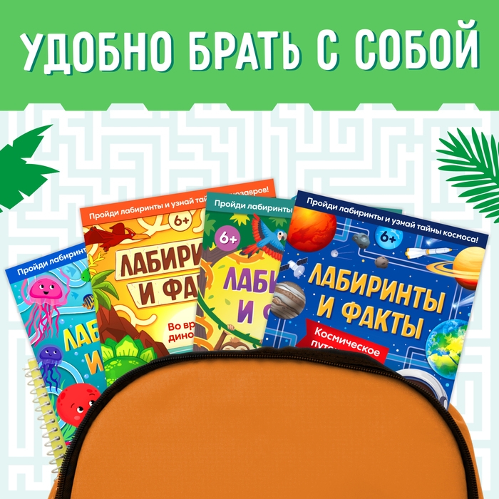 Набор книг &laquo;Лабиринты и факты: Пройди лабиринт и узнай факт!&raquo;, 4 книги по 24 стр., 6+