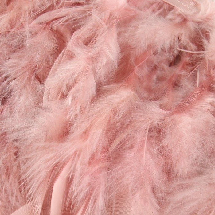 Тесьма с перьями индюка, 13-17 см, 5 &plusmn; 0,5 м, цвет пудровый