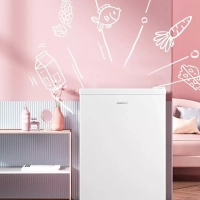 Холодильник RCD98WH1R, LED, GMCC, 66 л, однокамерный, белый