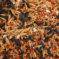 Корм "Пижон" для средних попугаев, с витаминами и минералами, 400 г Корм "Пижон" для средних попугаев, с витаминами и минералами, 400 г