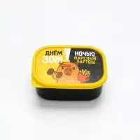 Ланч-бокс прямоугольный &laquo;ЗОЖ&raquo;, 500 мл