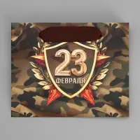 Пакет подарочный ламинированный, упаковка, &laquo;С 23 февраля&raquo;, S 15 х 12 х 5.5 см