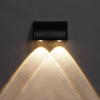 Светильник фасадный &laquo;Каскад&raquo;, FSD-094, 2 Вт, 3000К, 2 луча, IP65, 220 В, металл, черный