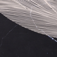 Набор салфеток сервировочных на стол Доляна «Матера», 4 шт, 38×38 см, белый Набор салфеток сервировочных на стол Доляна «Матера», 4 шт, 38×38 см, белый