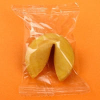 Печенье с предсказанием, 1 шт &laquo;Сегодня твой день&raquo;