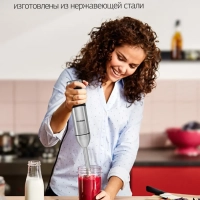 Блендер погружной HYB-H3824 800Вт серебристый