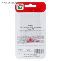 Семена Огурец Темп F1,партенокарпический, 5 шт Семена Огурец Темп F1,партенокарпический, 5 шт