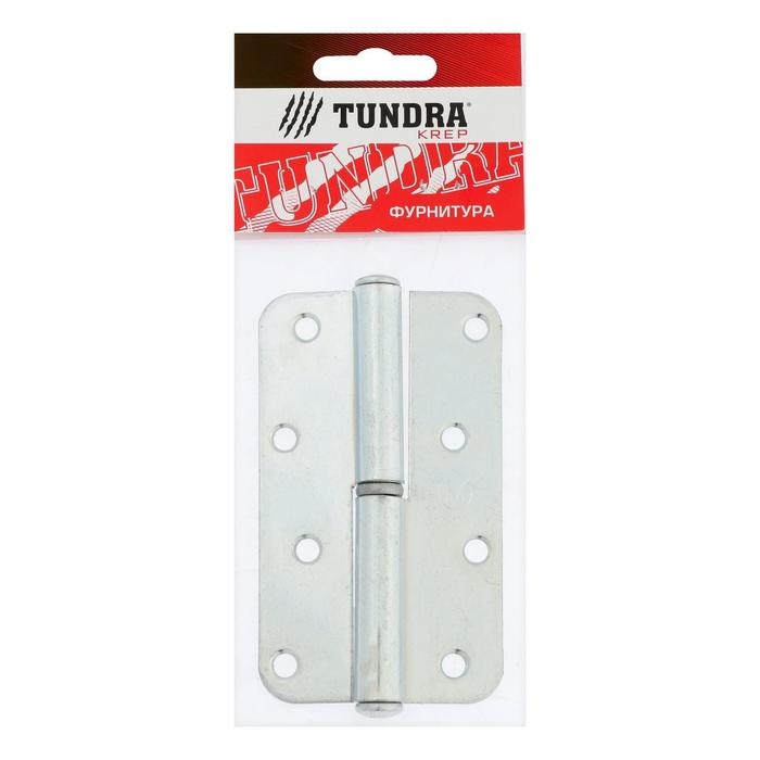 Петля накладная ТУНДРА ПН1-110, покрытие цинк, левая, 1 шт.