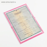 Папка для свидетельства о рождении малышки &laquo;Зайка&raquo;, А5