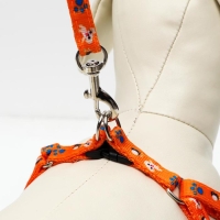Комплект амуниции "Собачки",  поводок 120 х 1 см, ОГ 27-42 см, оранжевый