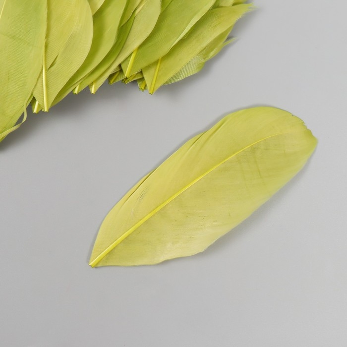 Перо декоративное гусиное Перо декоративное гусиное "Зелёное" в форме листа набор 40 шт h=5-7 см