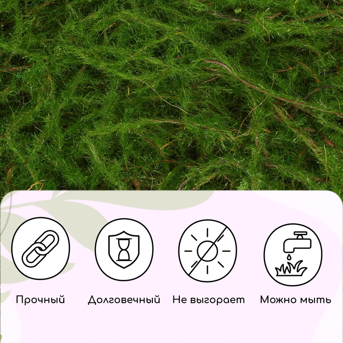 Декоративная панель, 90 &times; 40 см, &laquo;Папоротник&raquo;, Greengo