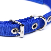 Ошейник "Комфорт" комбинированный (полиэстер, искусственная кожа), 39 х 1,5 см, ОШ 26-33 см, синий 6 Ошейник "Комфорт" комбинированный (полиэстер, искусственная кожа), 39 х 1,5 см, ОШ 26-33 см, синий 6