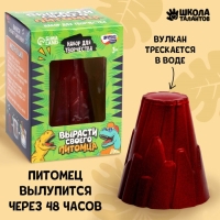 Набор для творчества «Вырасти своего питомца» Динозавр Набор для творчества «Вырасти своего питомца» Динозавр