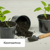 Набор для рассады: стаканы по 520 мл (8 шт.), поддон 40 &times; 30 см, чёрный, Greengo