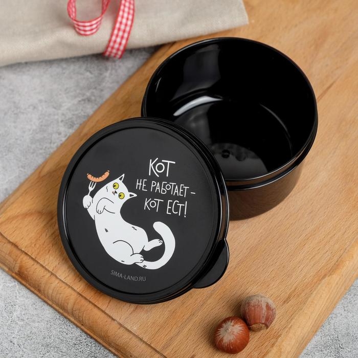 Ланч-бокс &laquo;Кот не работает&raquo;, 0.3 л