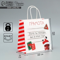 Пакет подарочный новогодний крафтовый &laquo;Молодец&raquo;, 22 х 22 х 11 см, Новый год