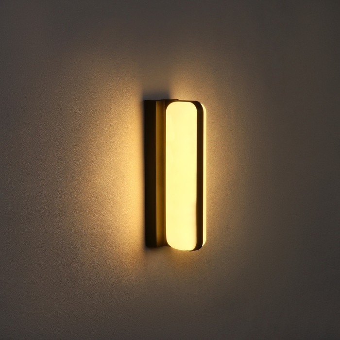 Светильник фасадный &laquo;Эллипс&raquo;, FSD-029, 24 Вт, 3000K, IP65, 220 В, пластик, черный