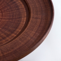 Тарелка &laquo;Гладкий&lrm;&lrm;&raquo;, 2,5х25х25 см