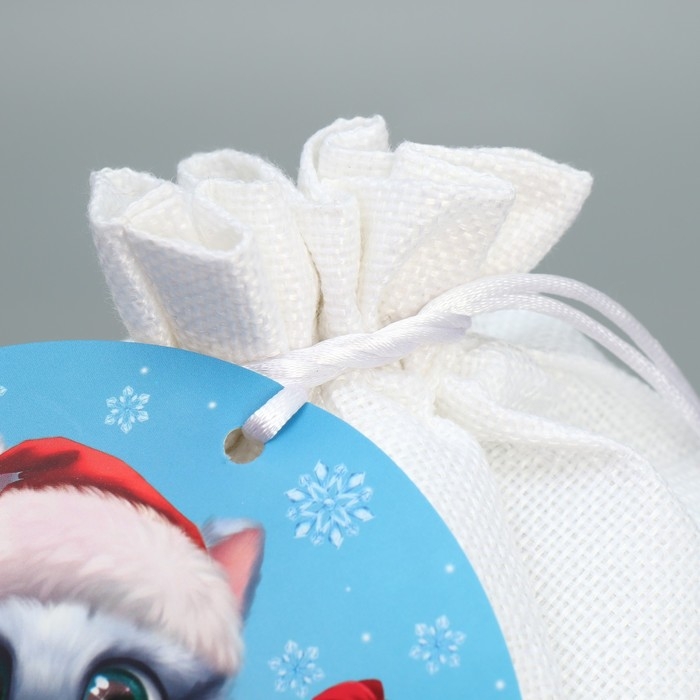 Мешок подарочный &laquo;Дружочек&raquo;, 20 х 30 см +/- 1.5 см, Новый год