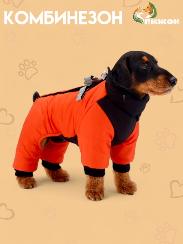 Комбинезон Комбинезон "Тренд", оксфорд, XL (ДС 38, ОШ 37, ОГ 48 см, вес 12-15 кг), оранжевый