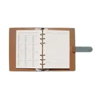 Органайзер на кольцах, C6, с хлястиком, 80л, линия, к/зам, Зеленый