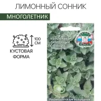 Семена Котовник "Сонник", 0,1 г