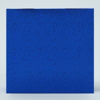 Коробка для конфет, кондитерская упаковка, 4 ячейки, &laquo;Синие звёздочки&raquo;, 10.5 х 10.5 х 3.5 см