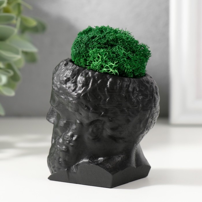 Кашпо бетонное Кашпо бетонное "Прометей" высота 6,5 см, ширина 5 см черный со мхом (мох зелен. стабил)