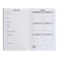 Записная книжка для мальчиков 130 х 210 мм, 56 листов в линейку "Анимэ", обложка мелованный картон, ламинация Soft-Touch, выборочный УФ-лак