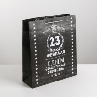 Пакет подарочный ламинированный вертикальный, упаковка, &laquo;Защитнику&raquo;, MS 18 х 23 х 10 см